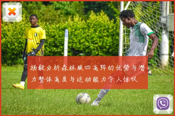 杨毅分析森林狼四高阵的优势与潜力整体高度与运动能力令人惊叹